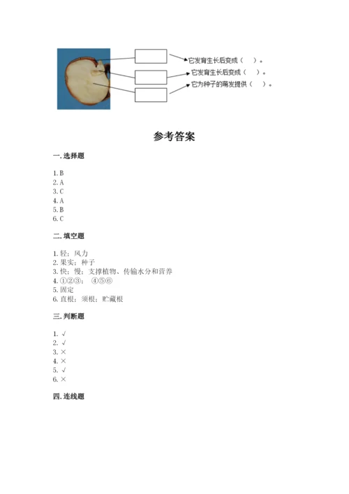 科学四年级下册第一单元植物的生长变化测试卷a4版.docx