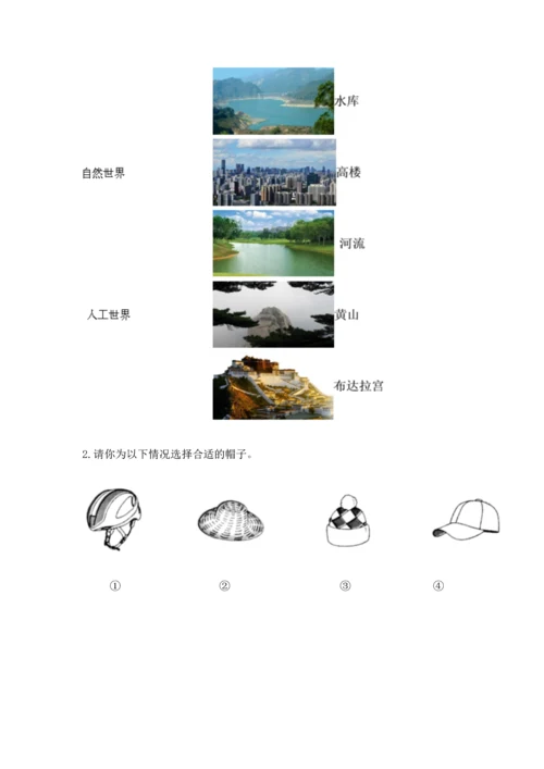 教科版二年级上册科学期末测试卷附答案（培优a卷）.docx