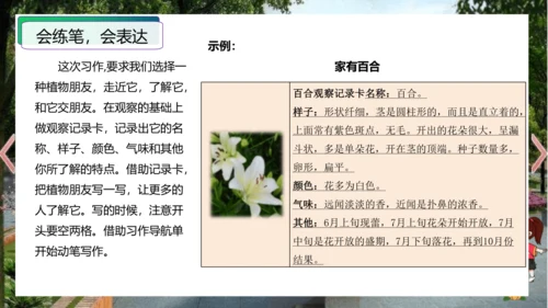 统编版三年级语文下册单元作文能力提升第一单元+习作：我的植物朋友（教学课件）