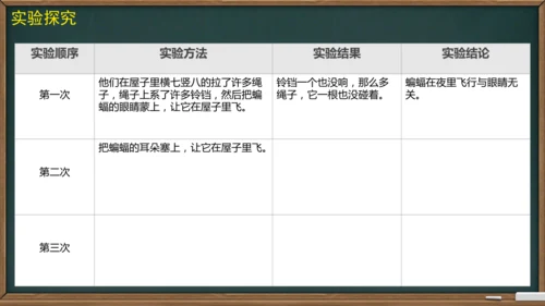 6 夜间飞行的秘密（课件）