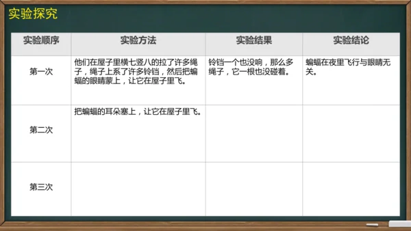 6 夜间飞行的秘密（课件）