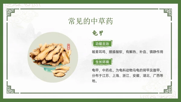 绿色中国风古风神奇中草药主题班会PPT模板中医药