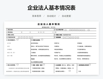 企业法人基本情况表