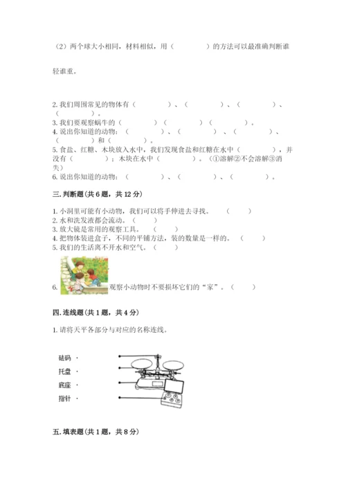 教科版一年级下册科学期末测试卷及参考答案（综合卷）.docx