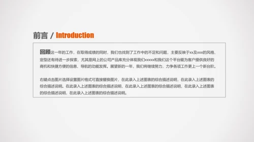 中国人民保险专项设计规划PPT模板