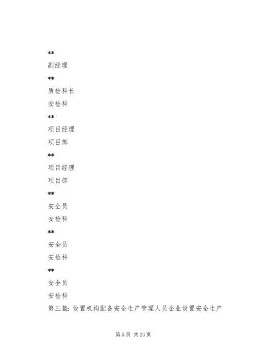 企业设置安全生产管理机构.docx