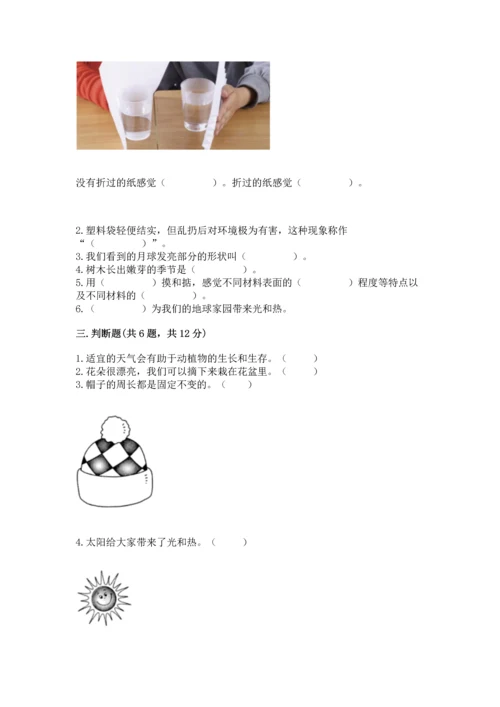 教科版二年级上册科学期末测试卷【名校卷】.docx