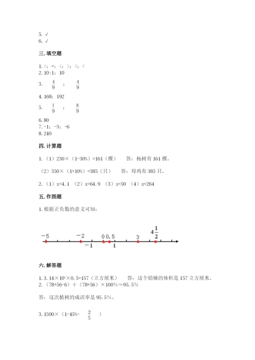 罗湖区六年级下册数学期末测试卷及一套参考答案.docx