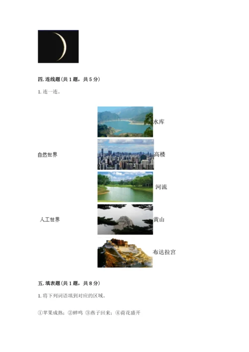 教科版科学二年级上册期末测试卷完整答案.docx
