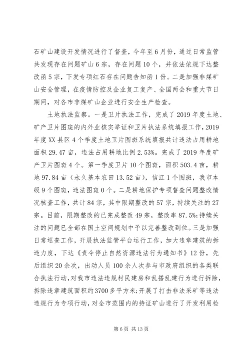 市自然资源局XX年上半年工作总结和下半年工作计划.docx