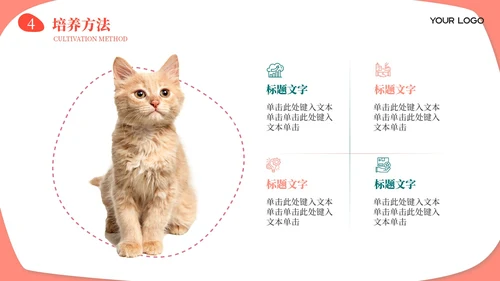 莫兰迪色卡通风宠物饲养心得经验分享PPT模板
