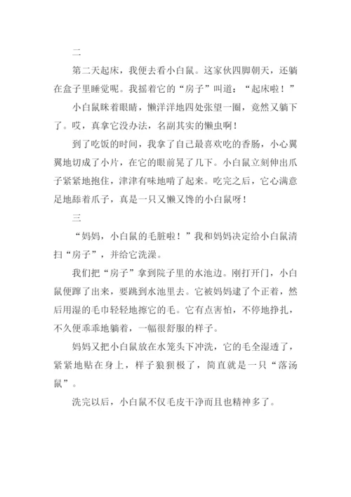 小白鼠作文0.docx