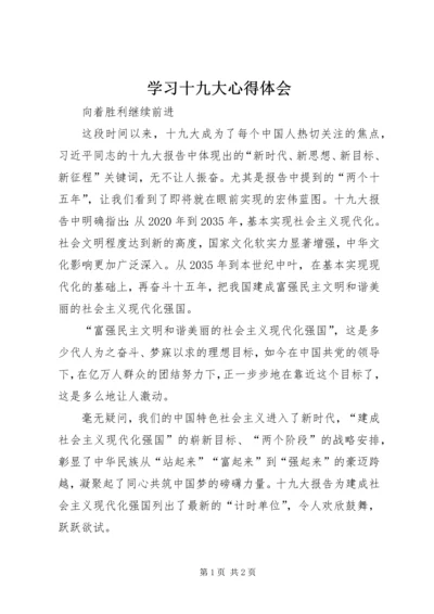 学习十九大心得体会 (27).docx