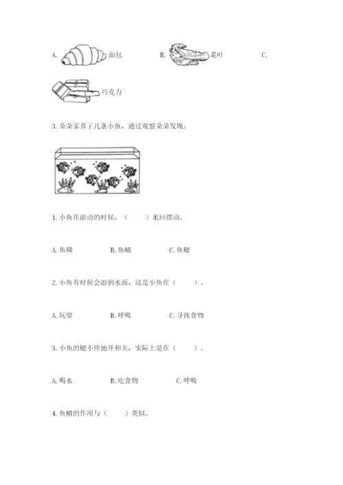 教科版小学科学一年级下册期末测试卷【巩固】.docx