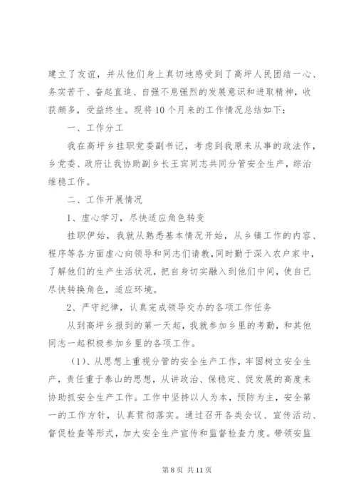 某年到乡镇挂职锻炼的工作总结范文.docx