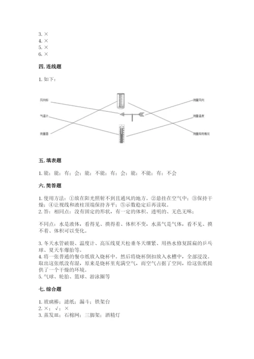 教科版三年级上册科学期末测试卷标准卷.docx