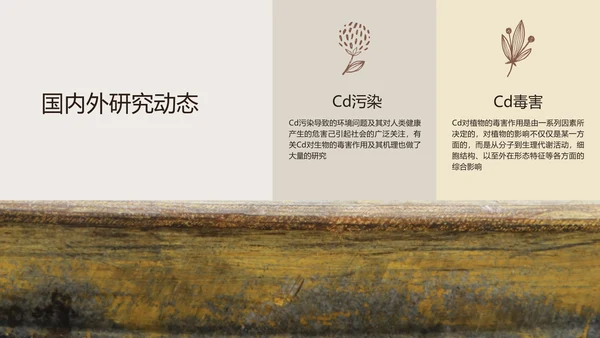 棕色简约风校园汇报植物品种研究和进展毕业答辩
