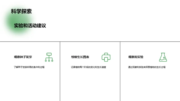 植物生长的奇妙之旅