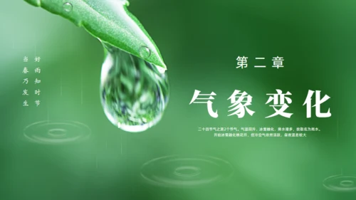 雨水绿色露水背景通用PPT模板