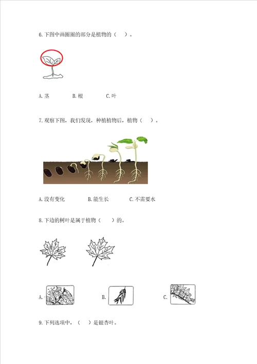 教科版一年级上册科学期末测试卷及参考答案巩固