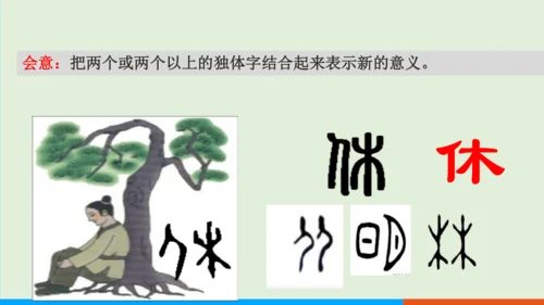 第5课 青铜器与甲骨文 课件