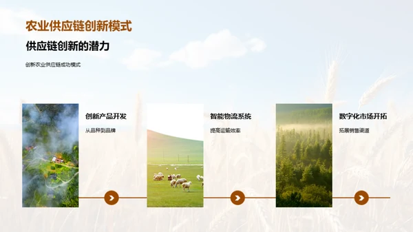 农业供应链的创新与优化