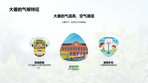 大暑生态影响及环保