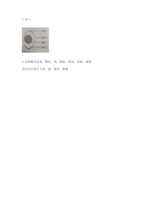 教科版科学三年级下册 期末测试卷附参考答案（预热题）.docx