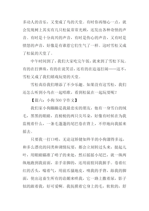 写物的作文500字.docx