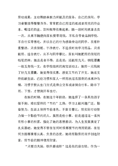 XX年关于美德少年事迹材料