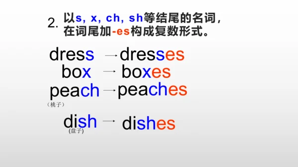 【名词单复数】课件PPT