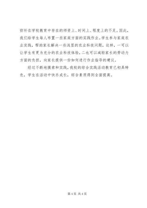 农村小学综合实践活动 (4).docx