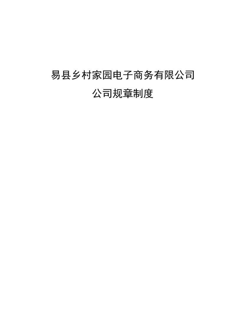 电子商务有限公司全新规章新版制度.docx