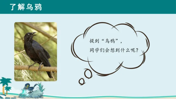 课文13《乌鸦喝水》课件