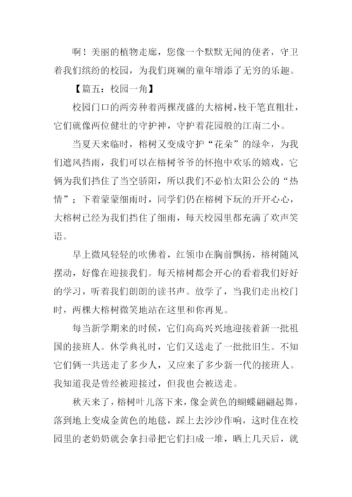 校园一角作文400字-2.docx