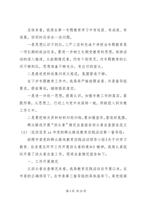 回头看自查报告范文4篇.docx