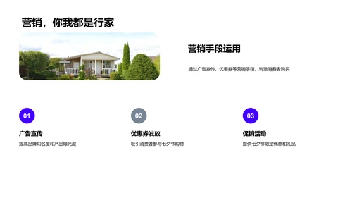 七夕家居营销策略PPT模板