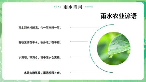 雨水节气燕子元素通用PPT绿色模板