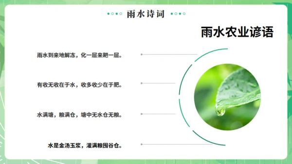 雨水节气燕子元素通用PPT绿色模板
