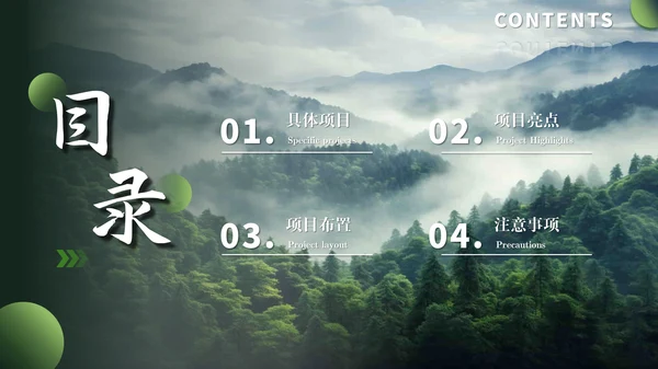 彩色简约风目录页PPT版式合集