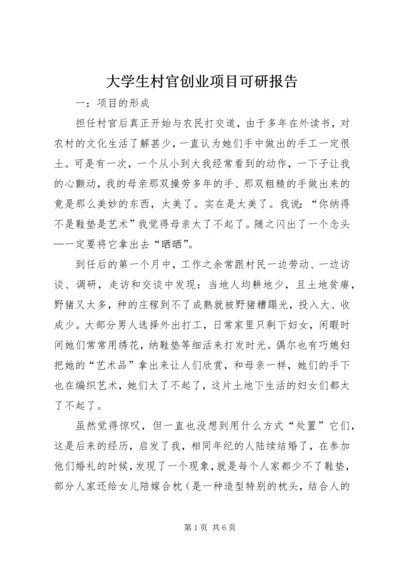 大学生村官创业项目可研报告.docx