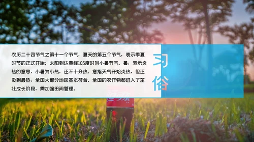 清凉蓝色小者可乐冰块通用PPT模板