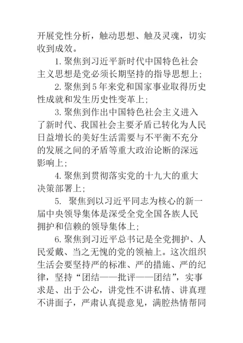 党支部20XX年度组织生活会工作方案.docx