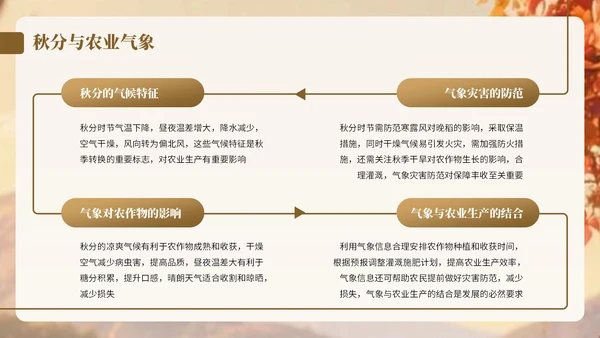 棕色卡通中国风秋分节气宣传知识PPT