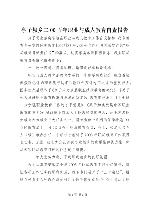 亭子坝乡二00五年职业与成人教育自查报告.docx