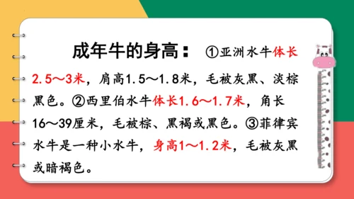 14、小马过河（第二课时）课件