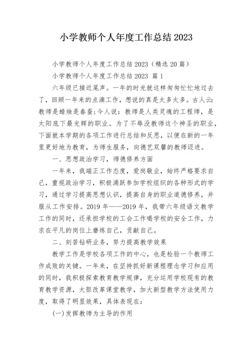 小学教师个人年度工作总结2023.docx