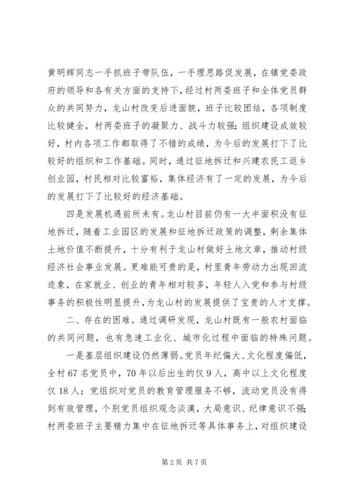 孚玉镇龙山村调研报告范文.docx