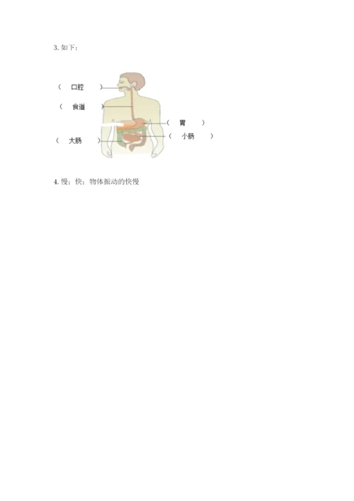 教科版四年级上册科学期末测试卷必考题.docx