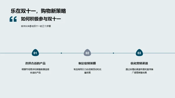 全面解析双十一